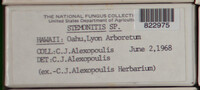 Image Associated With the Occurence